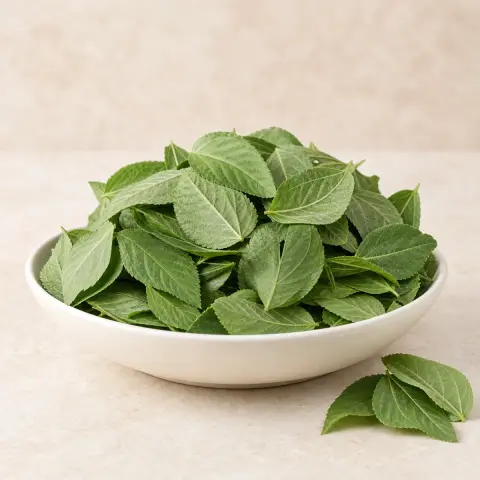 Picked Molokhia